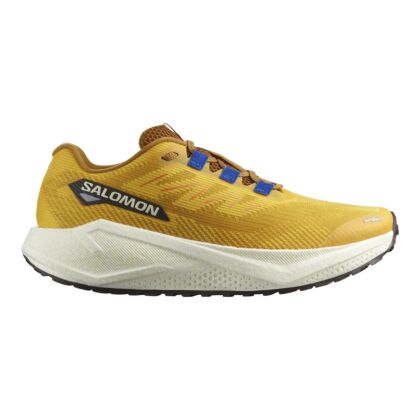 Pantofi Alergare Barbati Salomon Aero Blaze 3 Grvl Spicy Mustard/Vanilla Ice/Nautical_-_himalaya.ro_-_main