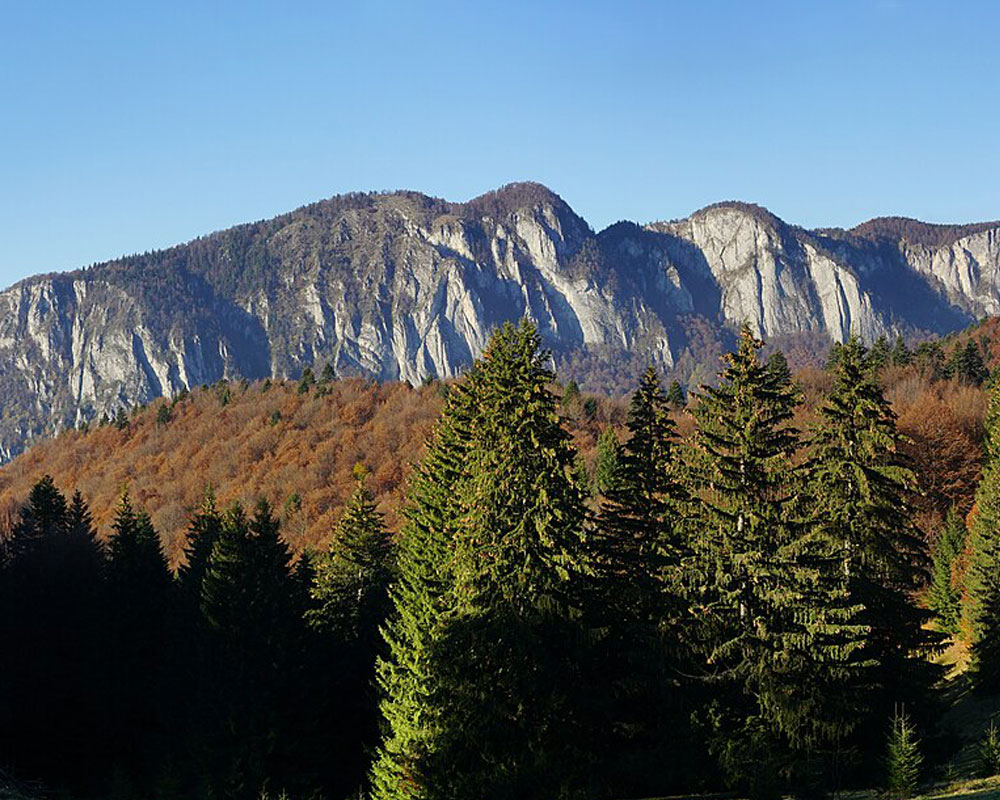 5 drumeții de o zi din Brașov