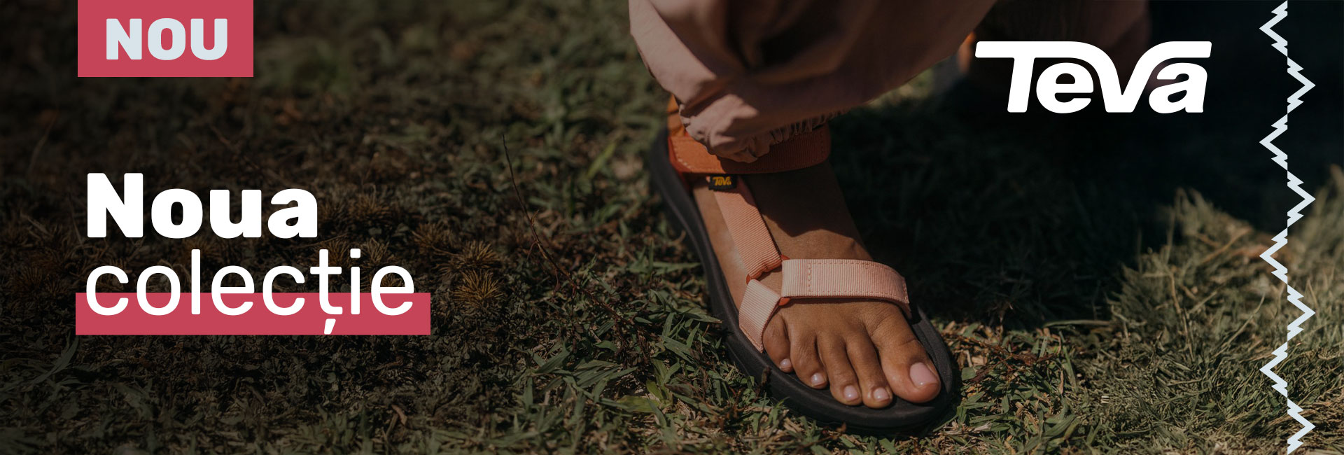 Web - Teva - SS26
